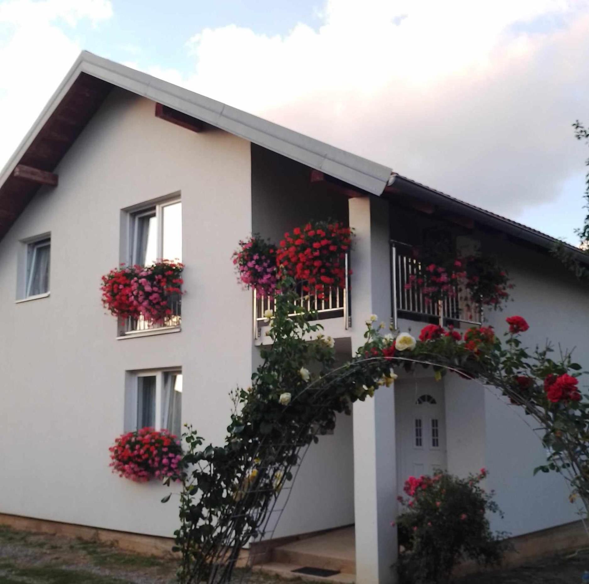 Lukic Apartament